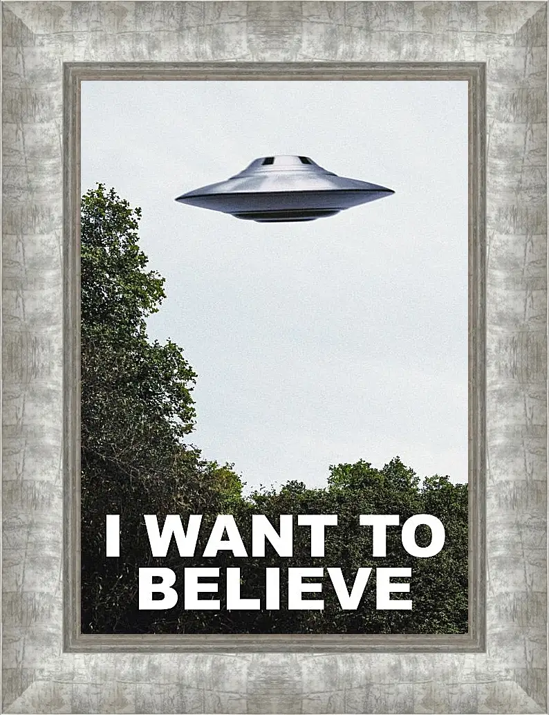 Картина в раме - I Want To Believe. Я хочу верить