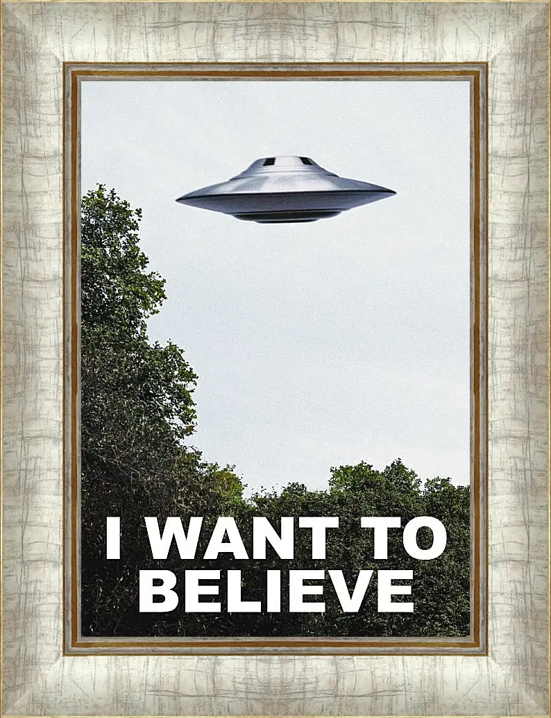 Картина в раме - I Want To Believe. Я хочу верить