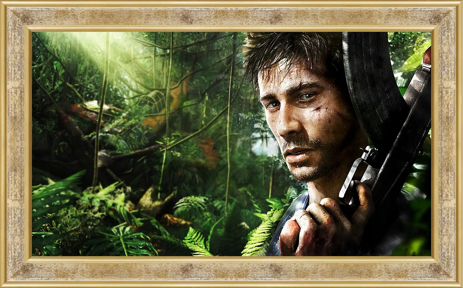 Картина в раме - Far Cry 3