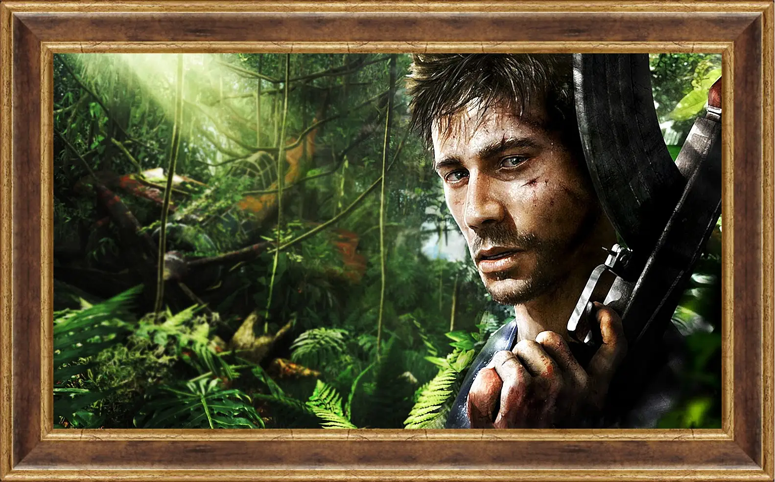 Картина в раме - Far Cry 3