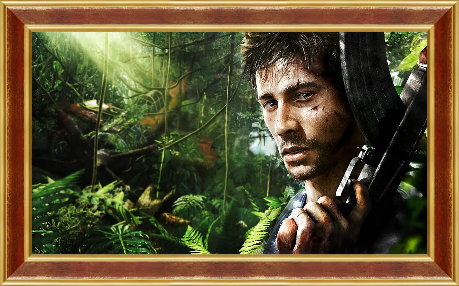 Картина в раме - Far Cry 3