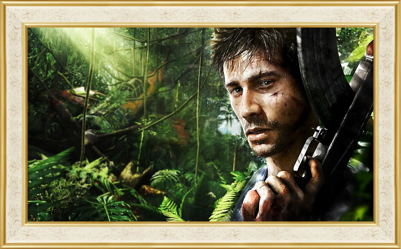 Картина в раме - Far Cry 3