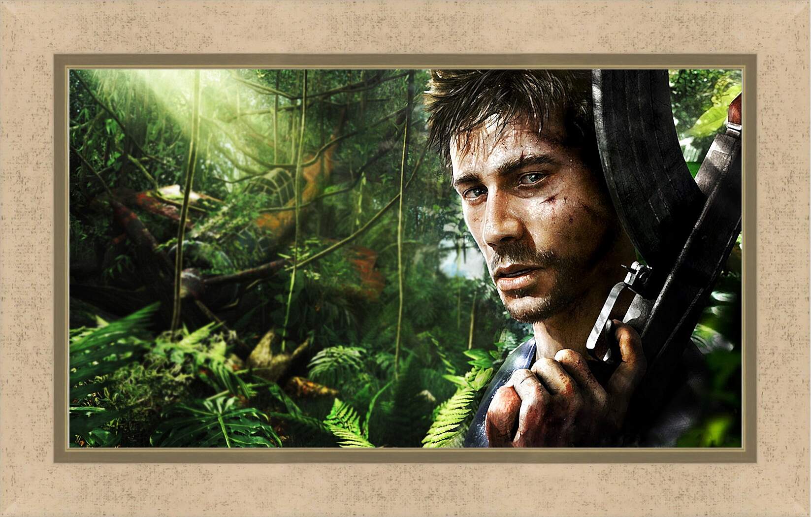 Картина в раме - Far Cry 3