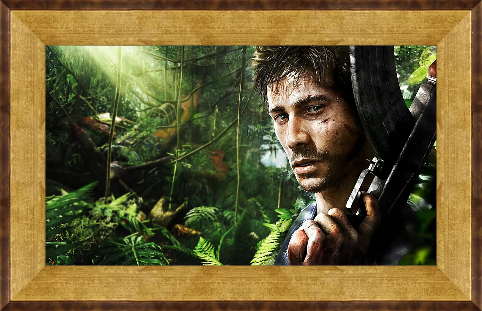 Картина в раме - Far Cry 3