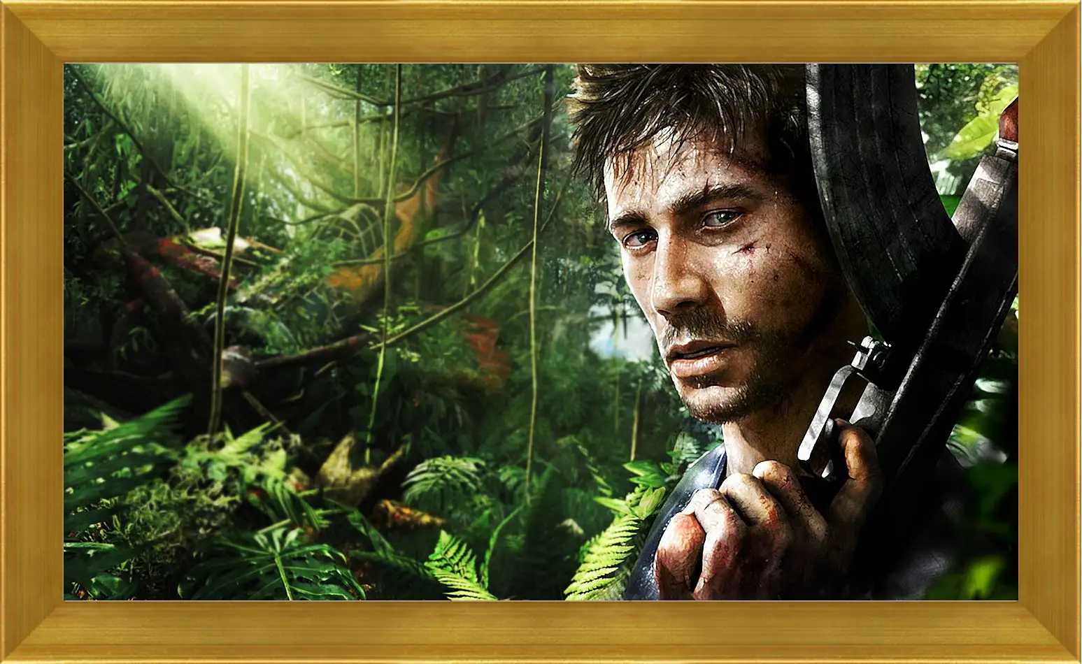 Картина в раме - Far Cry 3