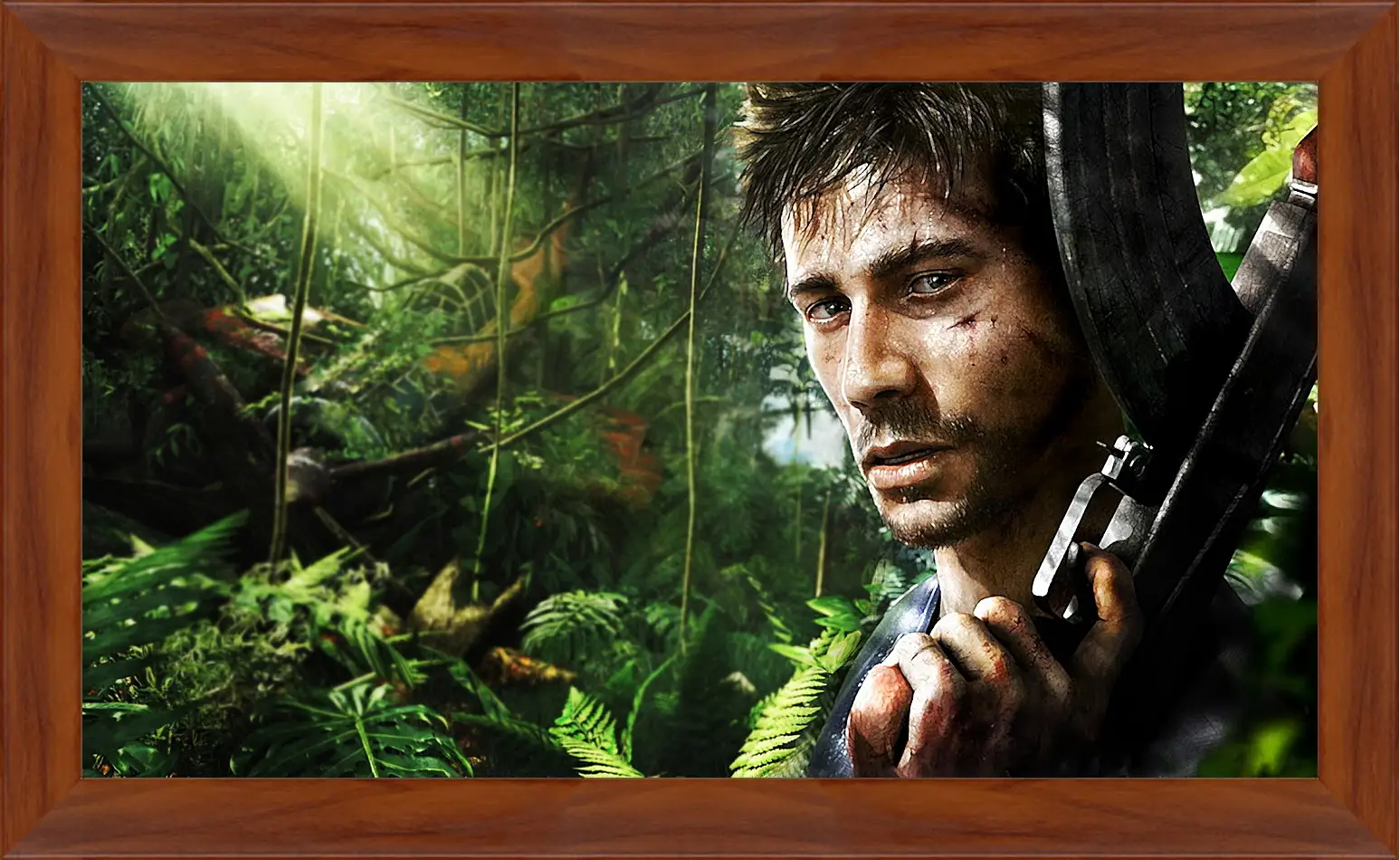 Картина в раме - Far Cry 3