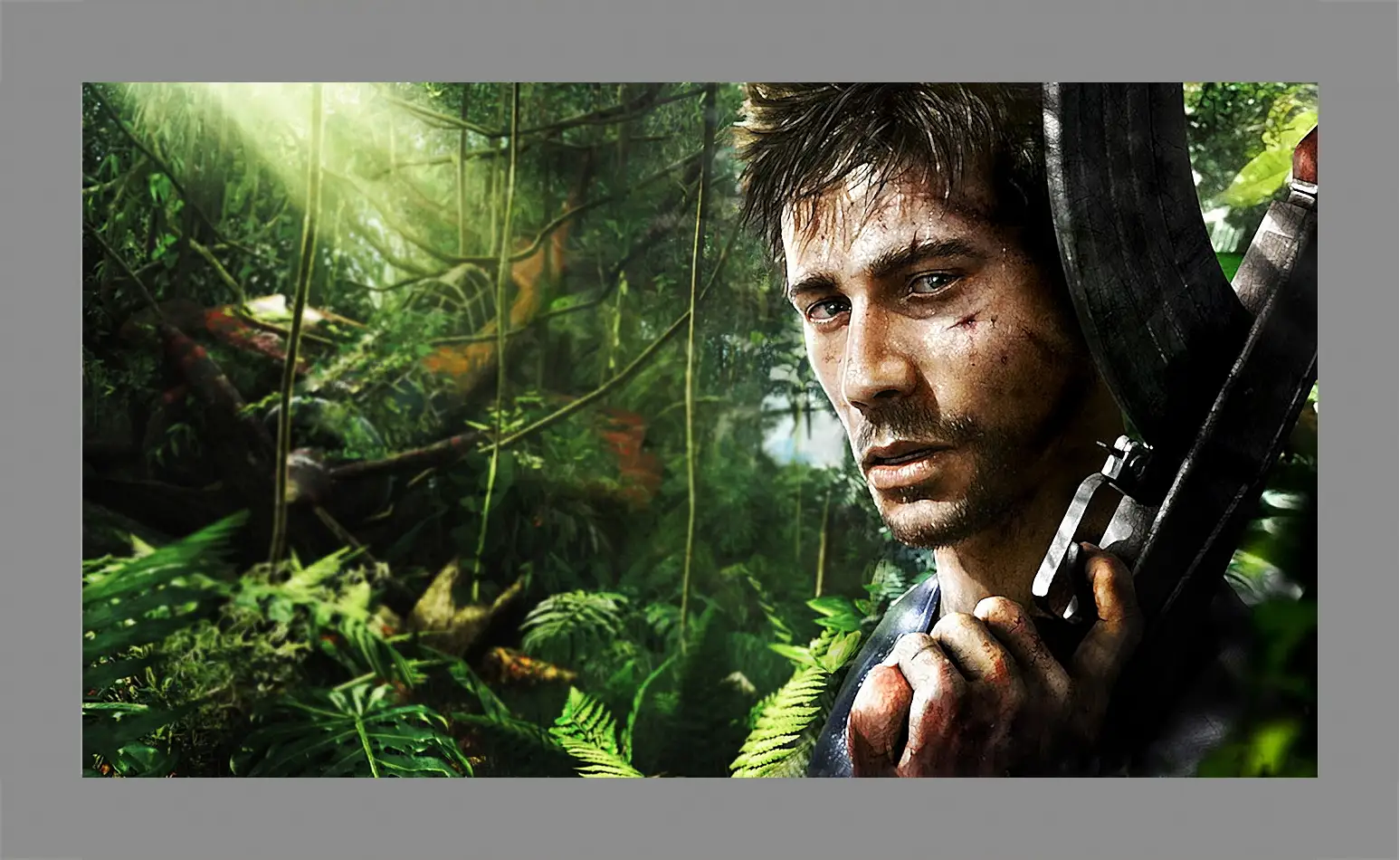 Картина в раме - Far Cry 3