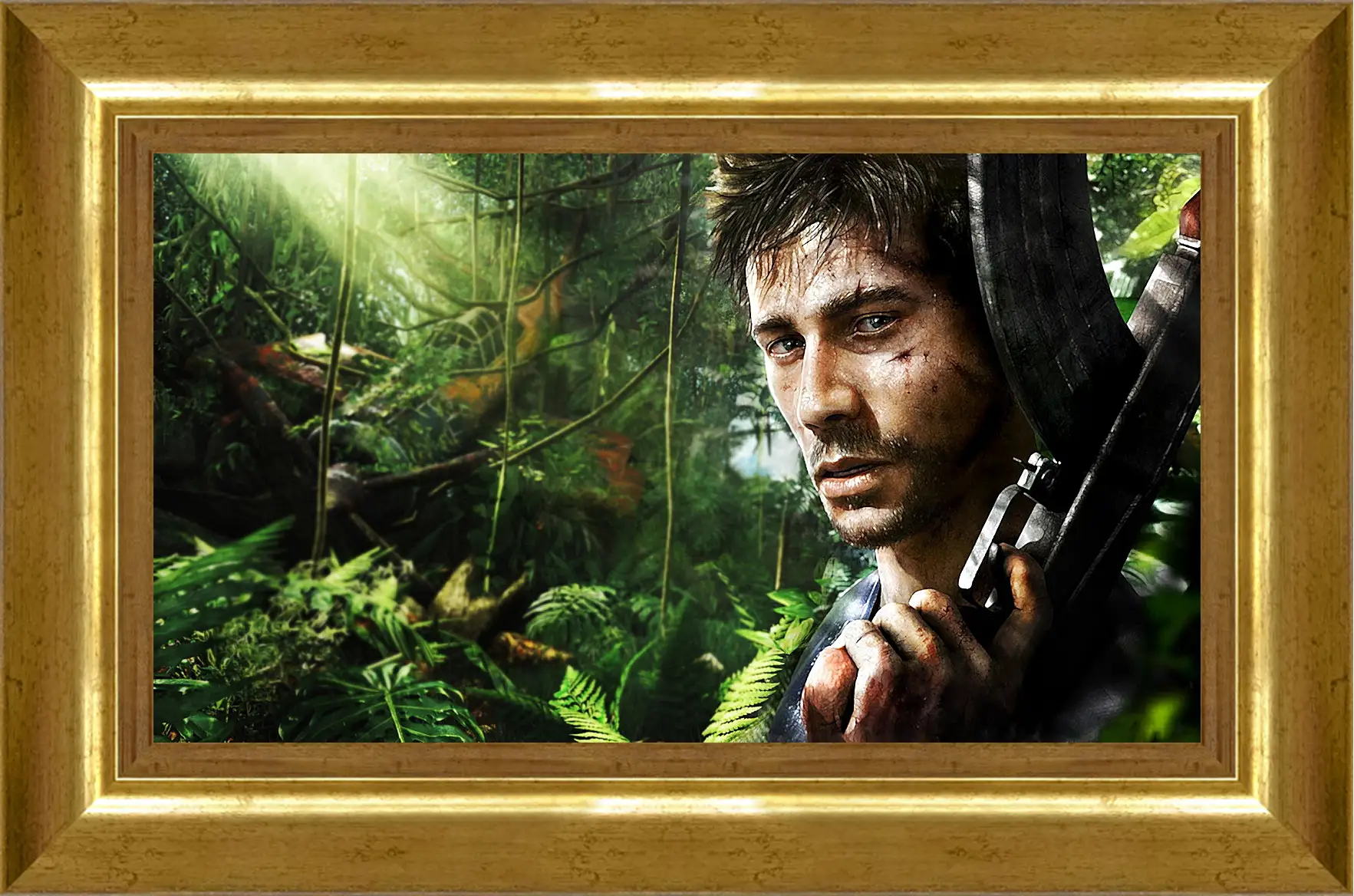 Картина в раме - Far Cry 3