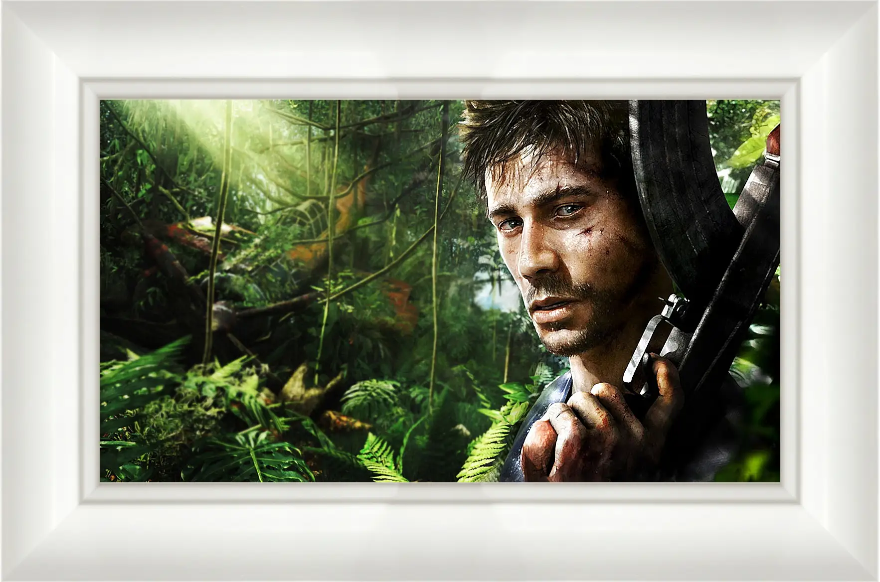 Картина в раме - Far Cry 3