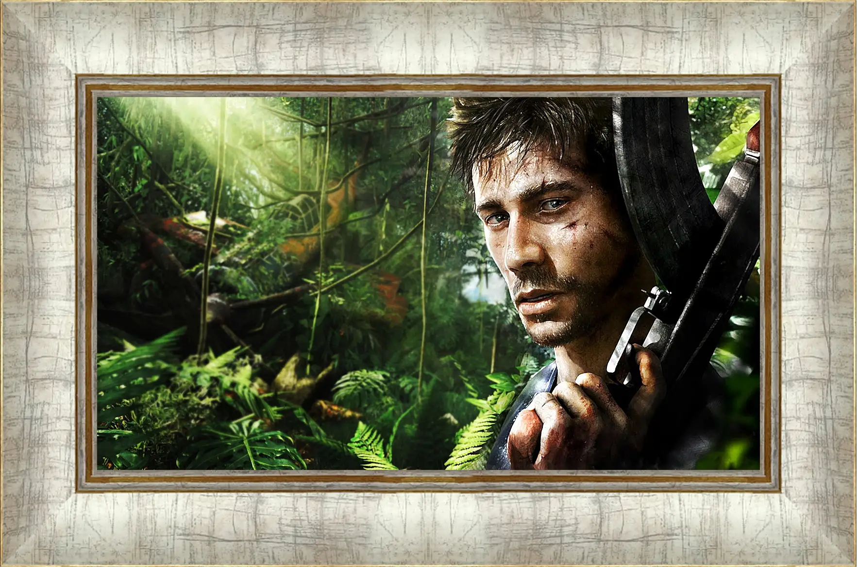 Картина в раме - Far Cry 3