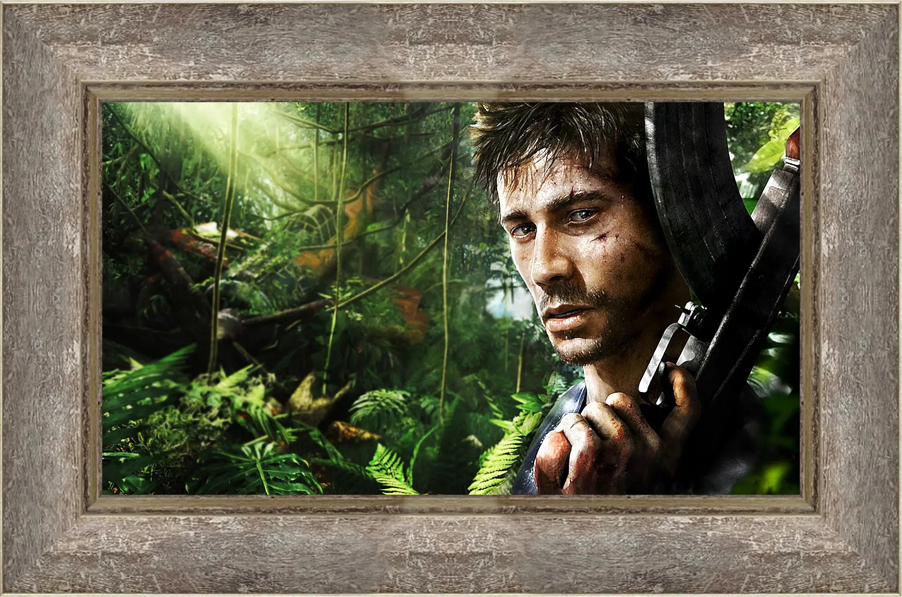 Картина в раме - Far Cry 3