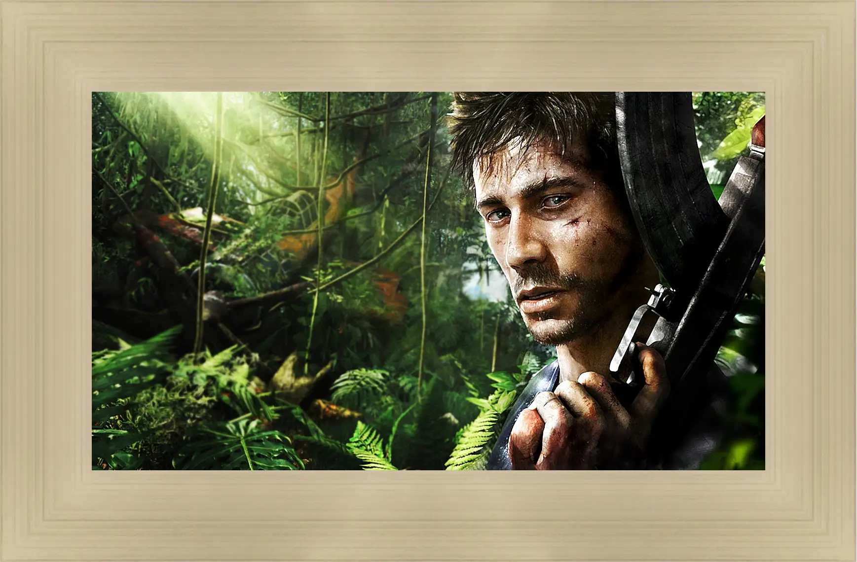 Картина в раме - Far Cry 3