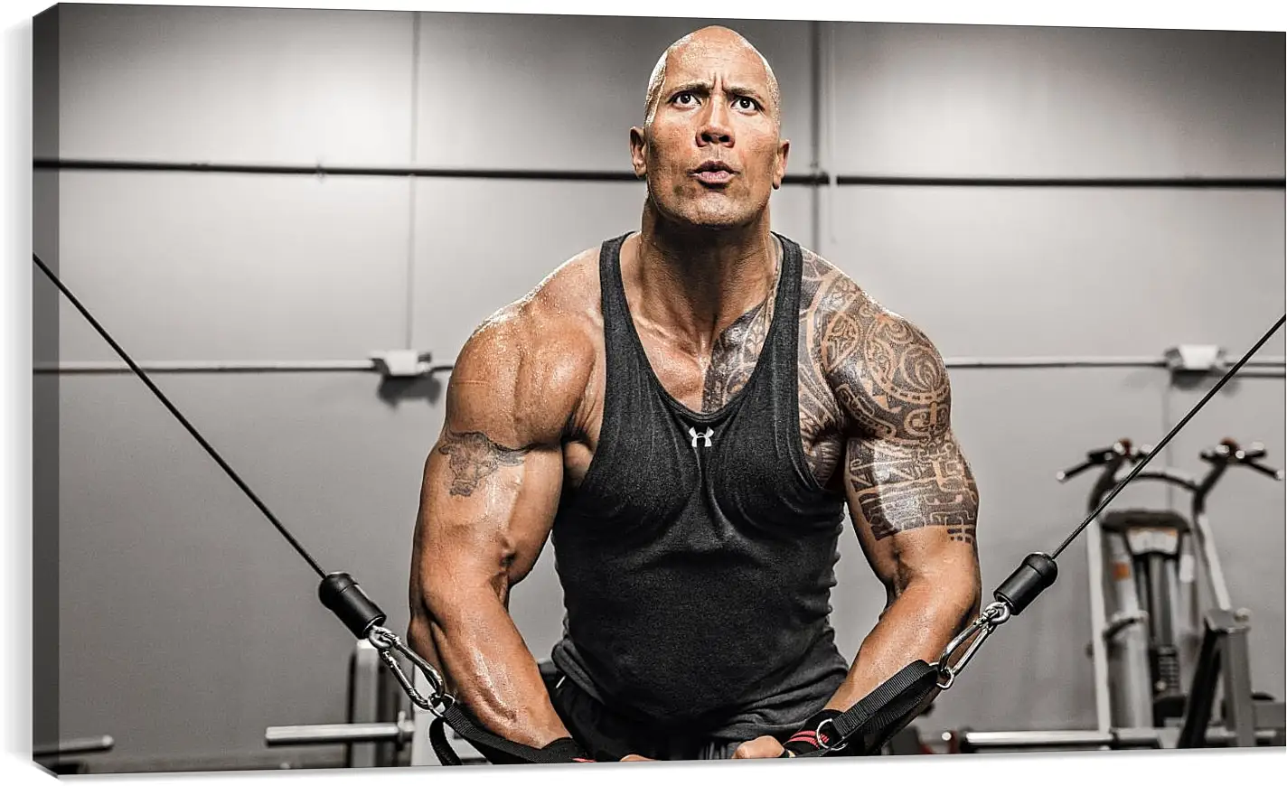 Постер и плакат - Dwayne Douglas Johnson. Дуэйн Джонсон (Скала)