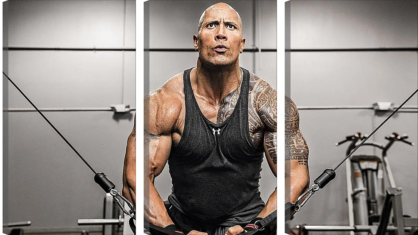 Модульная картина - Dwayne Douglas Johnson. Дуэйн Джонсон (Скала)