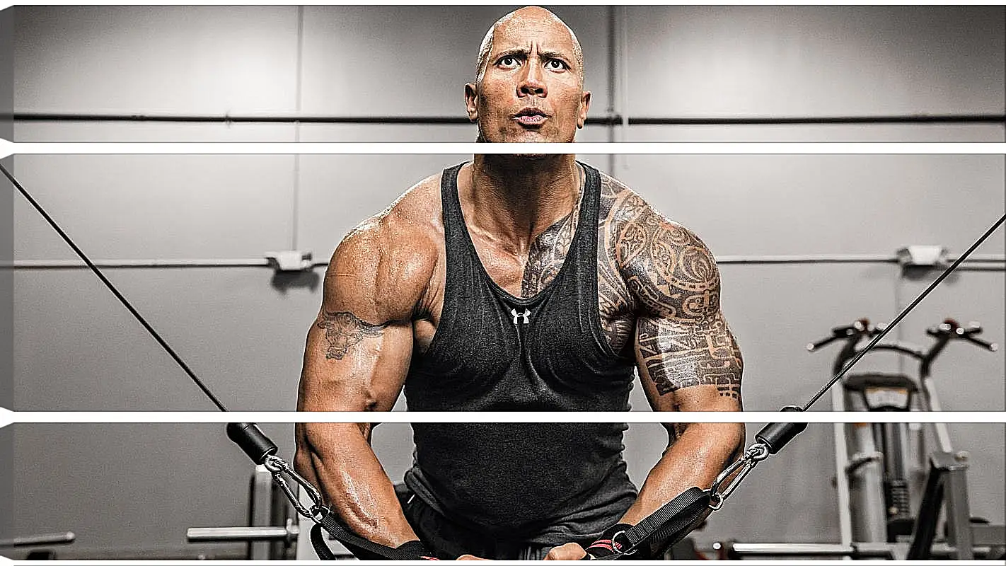 Модульная картина - Dwayne Douglas Johnson. Дуэйн Джонсон (Скала)