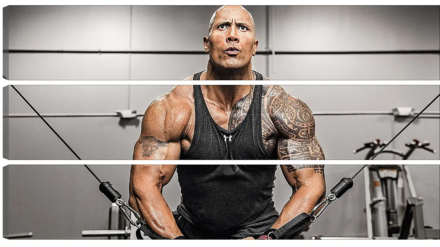 Модульная картина - Dwayne Douglas Johnson. Дуэйн Джонсон (Скала)