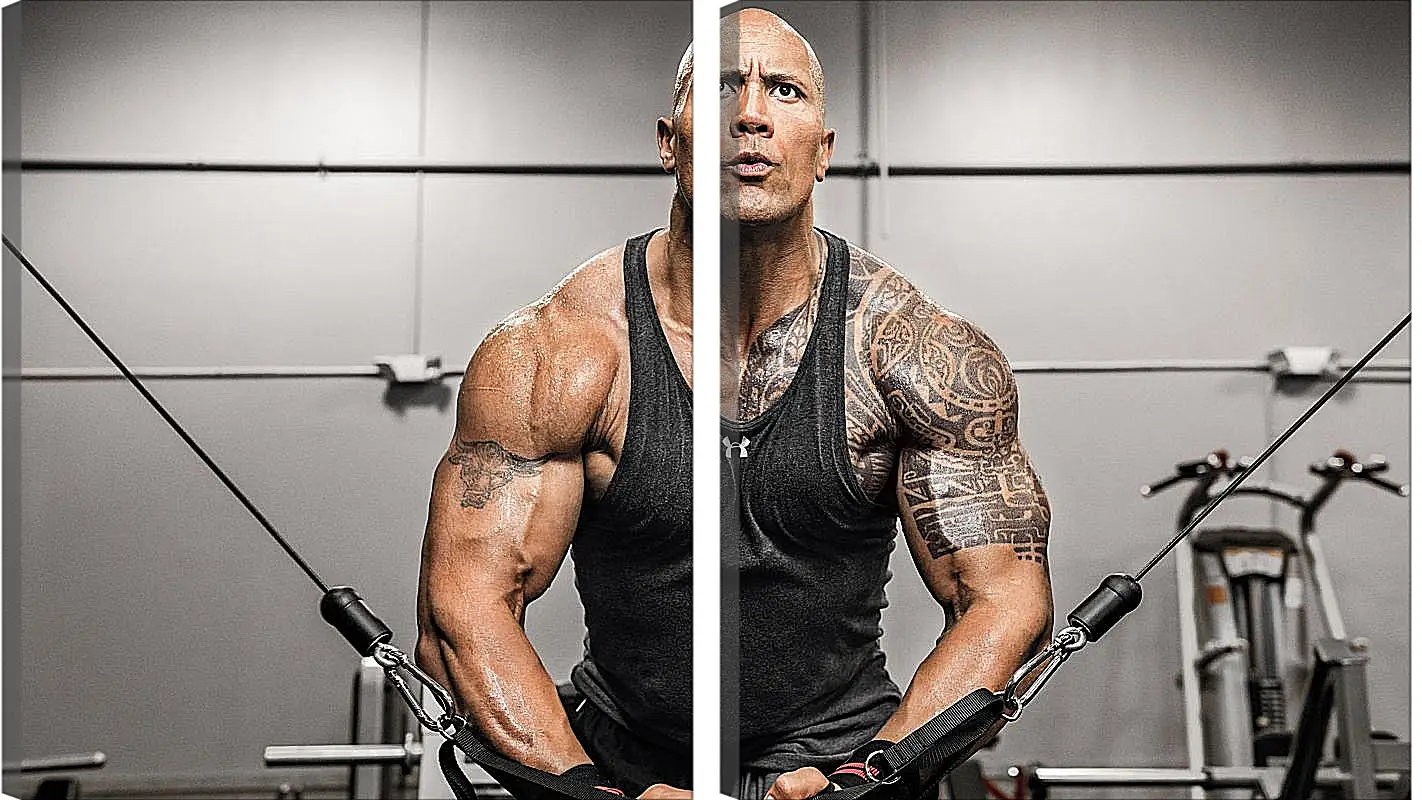 Модульная картина - Dwayne Douglas Johnson. Дуэйн Джонсон (Скала)