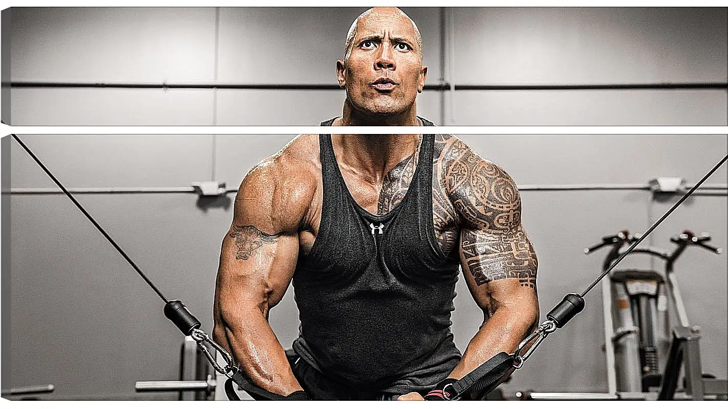 Модульная картина - Dwayne Douglas Johnson. Дуэйн Джонсон (Скала)