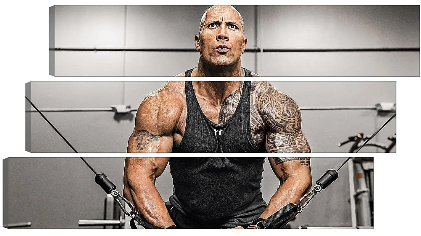 Модульная картина - Dwayne Douglas Johnson. Дуэйн Джонсон (Скала)