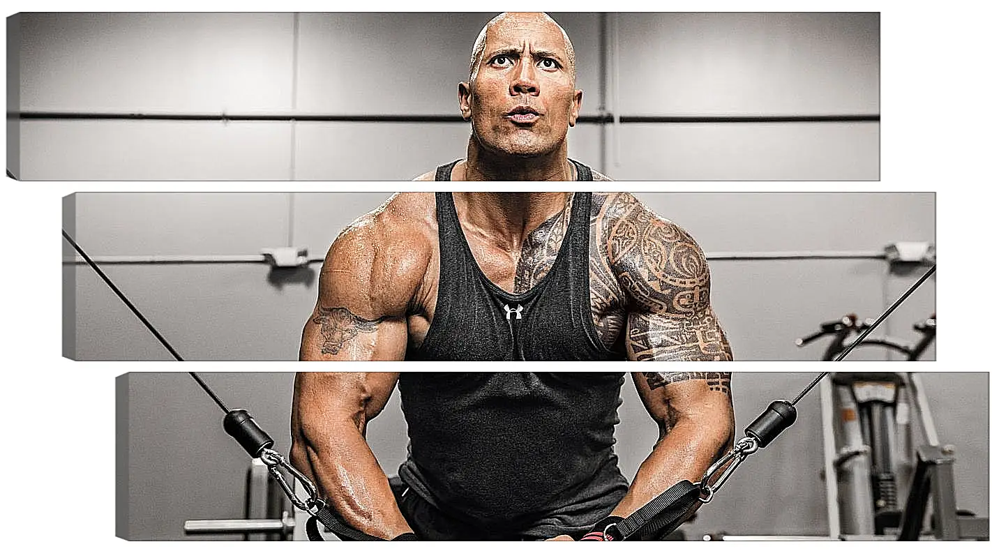 Модульная картина - Dwayne Douglas Johnson. Дуэйн Джонсон (Скала)