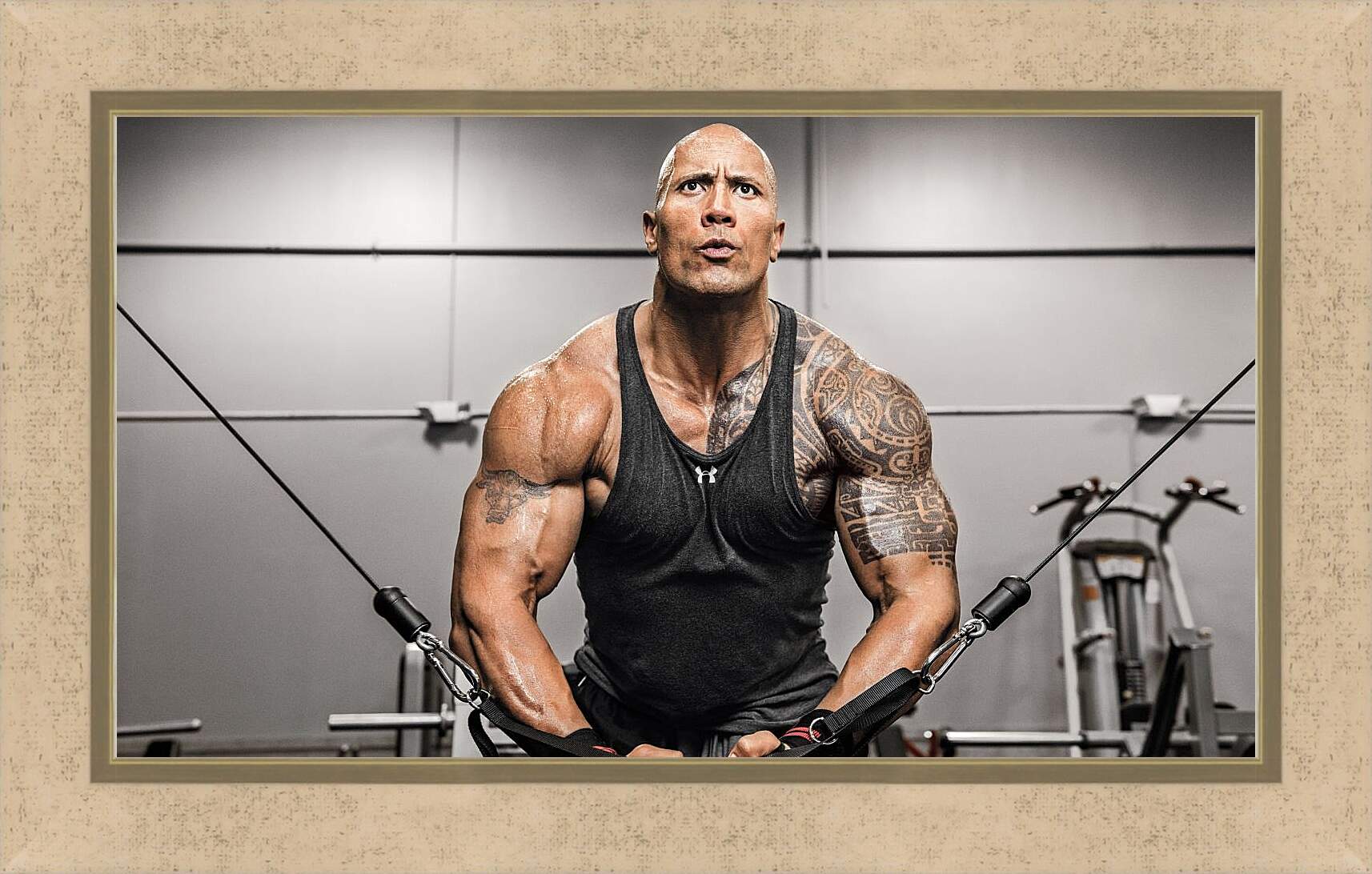 Картина в раме - Dwayne Douglas Johnson. Дуэйн Джонсон (Скала)