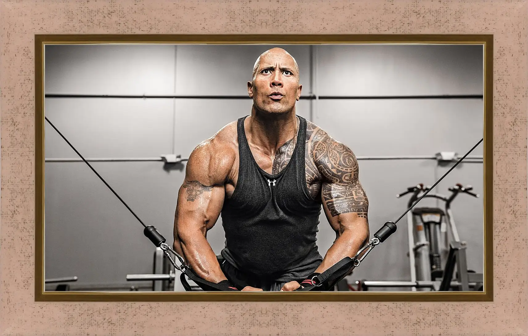 Картина в раме - Dwayne Douglas Johnson. Дуэйн Джонсон (Скала)