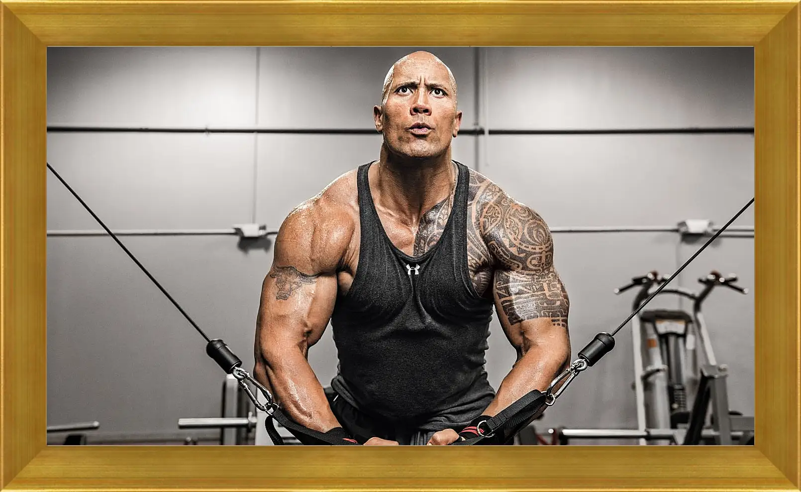 Картина в раме - Dwayne Douglas Johnson. Дуэйн Джонсон (Скала)