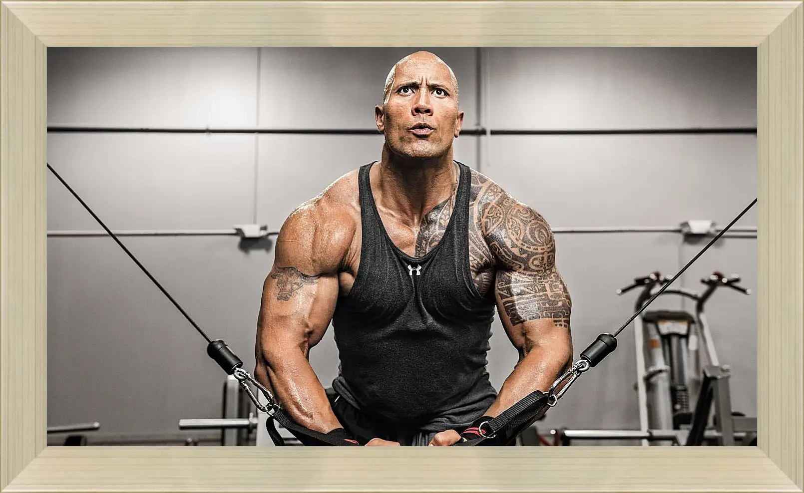 Картина в раме - Dwayne Douglas Johnson. Дуэйн Джонсон (Скала)