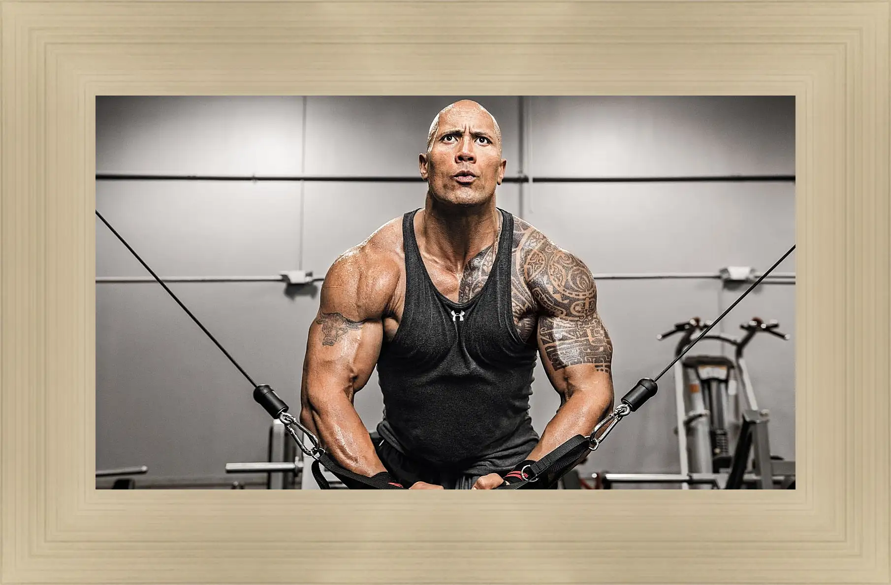 Картина в раме - Dwayne Douglas Johnson. Дуэйн Джонсон (Скала)