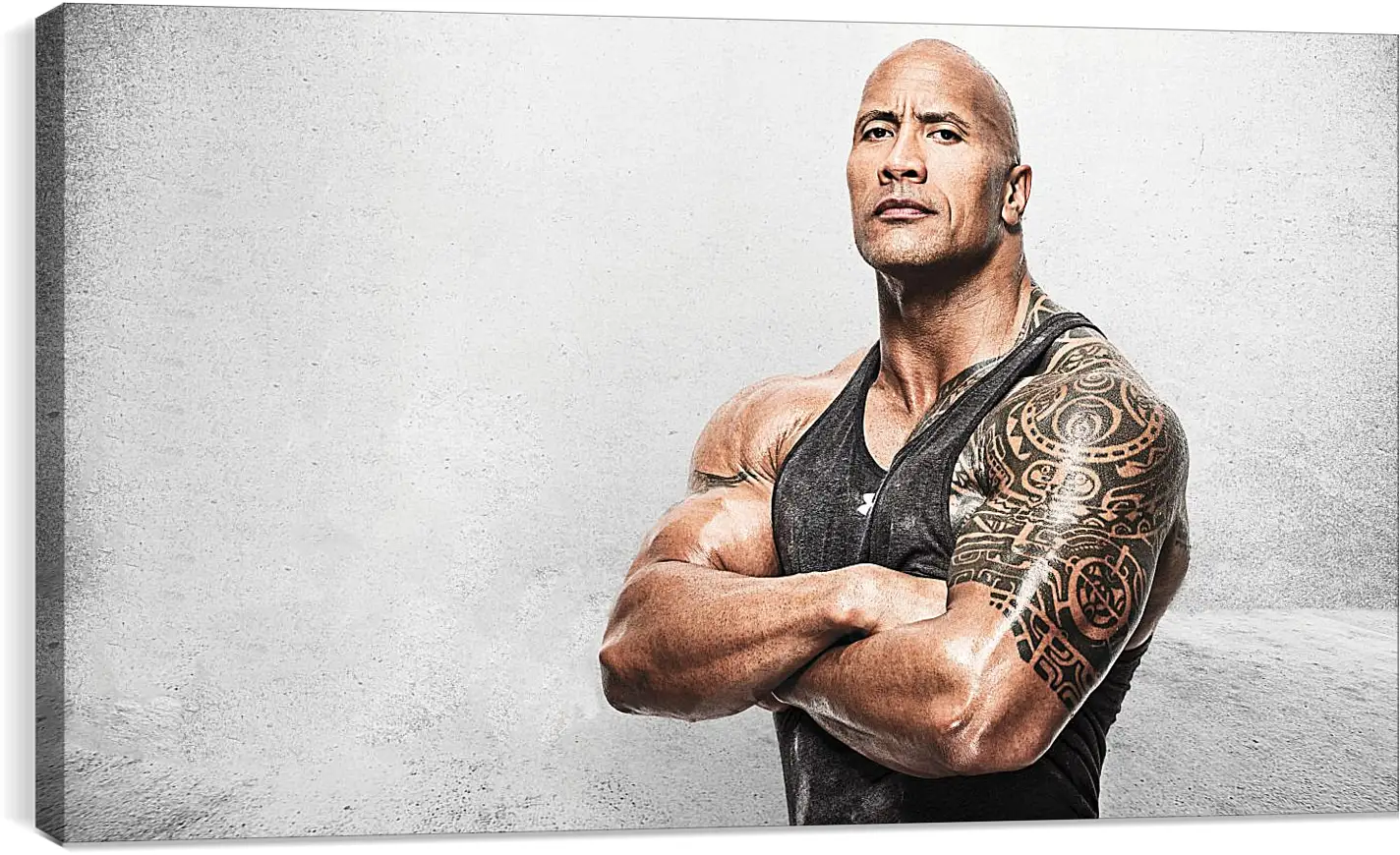 Постер и плакат - Dwayne Douglas Johnson. Дуэйн Джонсон (Скала)