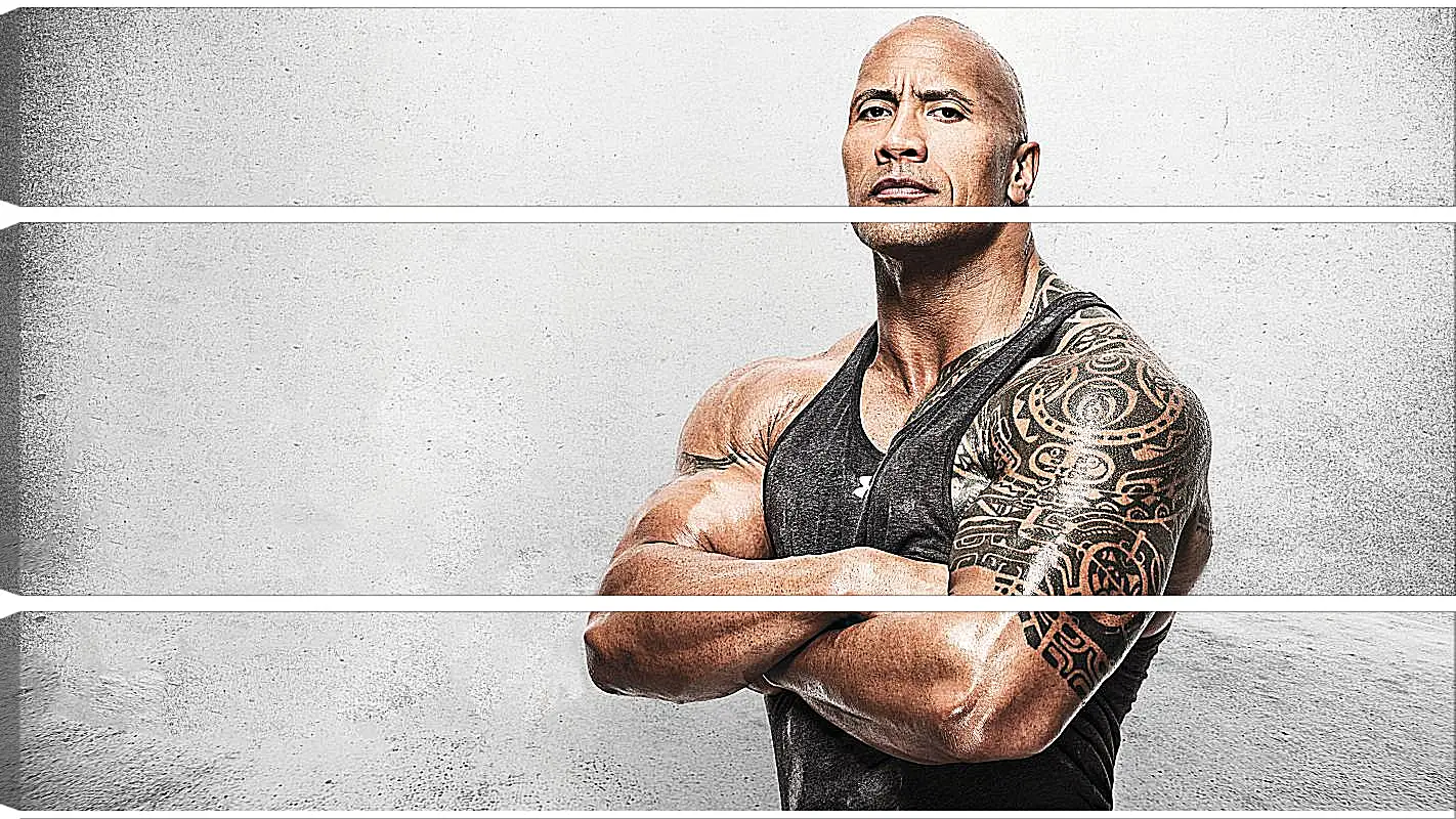 Модульная картина - Dwayne Douglas Johnson. Дуэйн Джонсон (Скала)