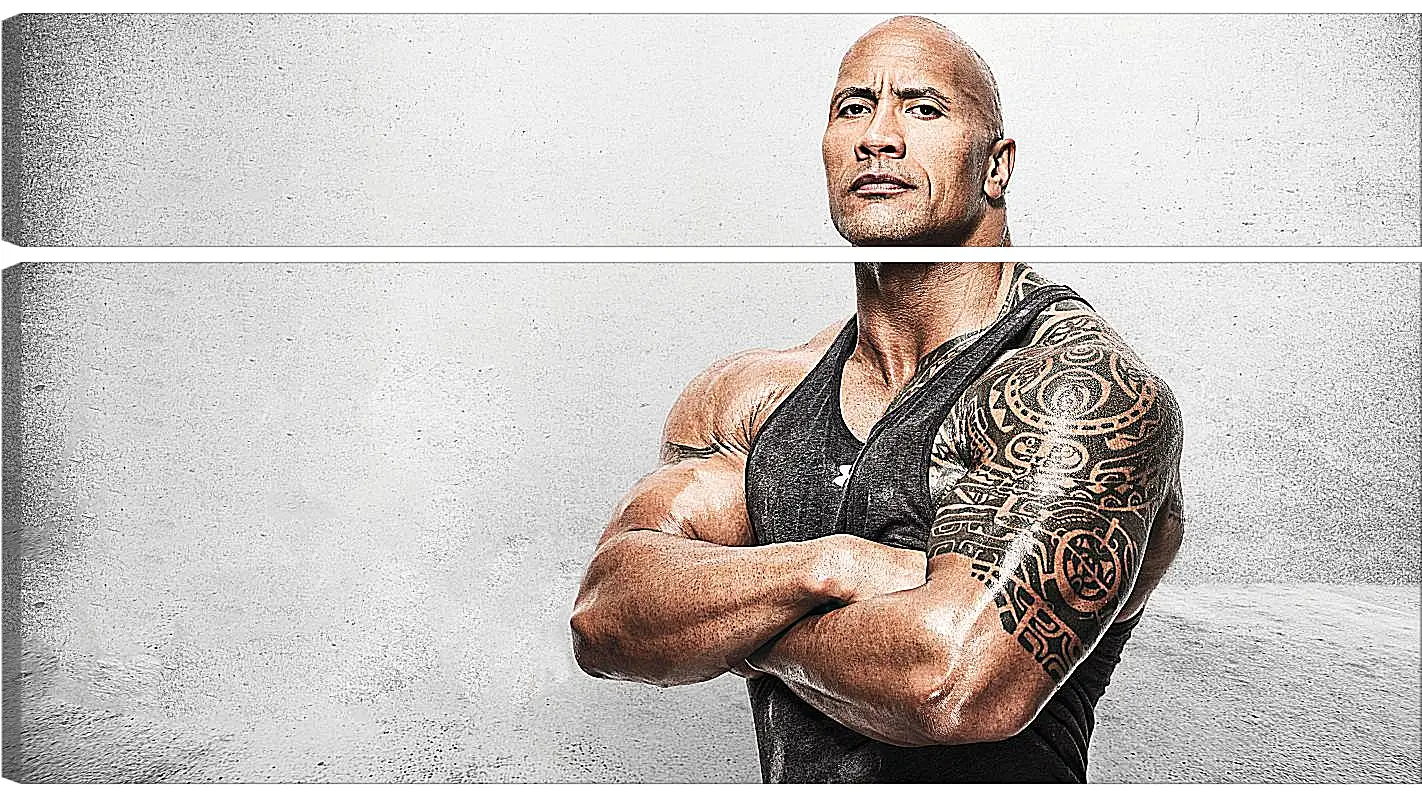 Модульная картина - Dwayne Douglas Johnson. Дуэйн Джонсон (Скала)