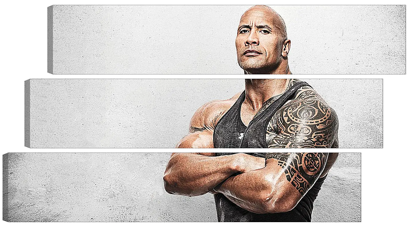 Модульная картина - Dwayne Douglas Johnson. Дуэйн Джонсон (Скала)