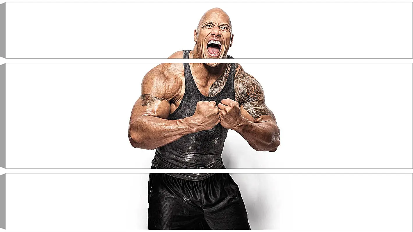 Модульная картина - Dwayne Douglas Johnson. Дуэйн Джонсон (Скала)