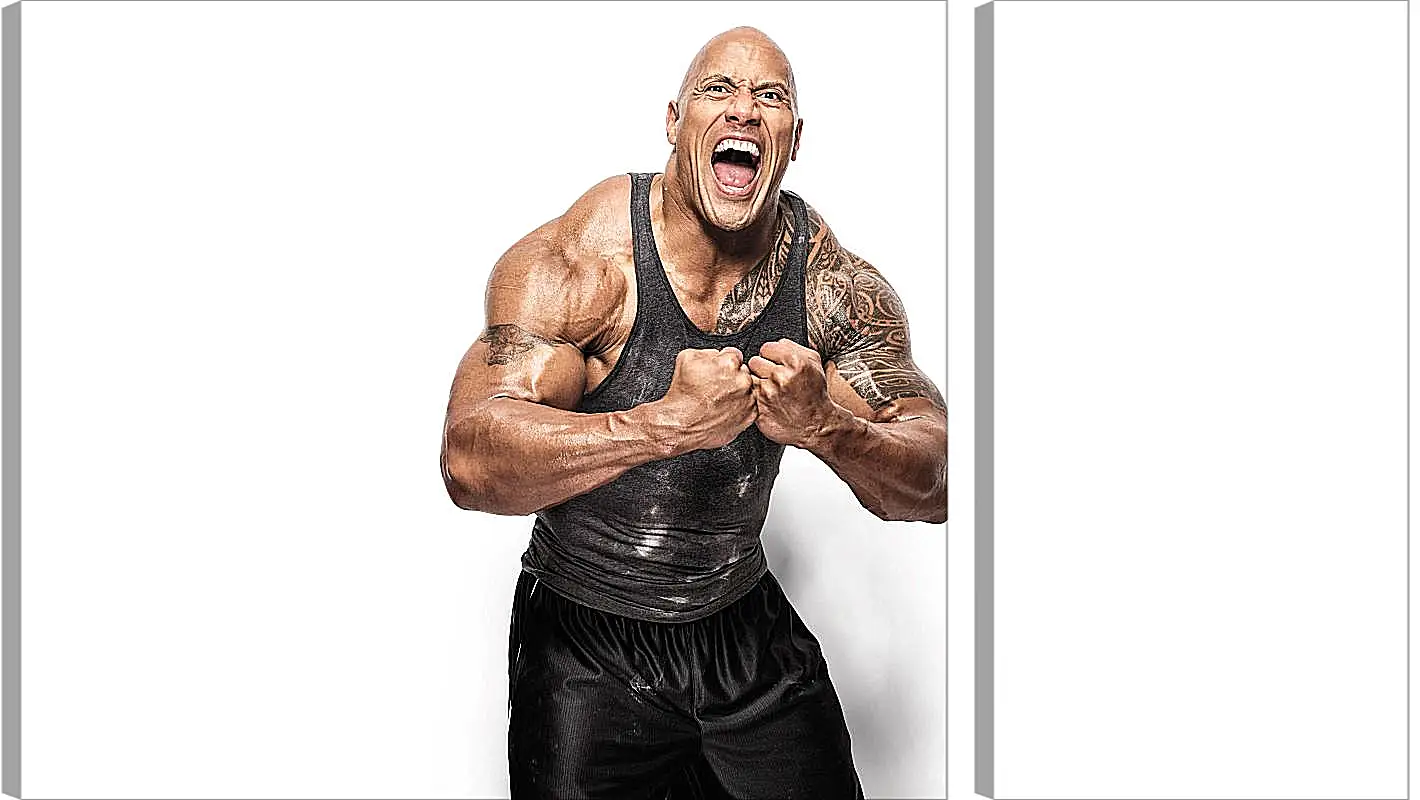 Модульная картина - Dwayne Douglas Johnson. Дуэйн Джонсон (Скала)