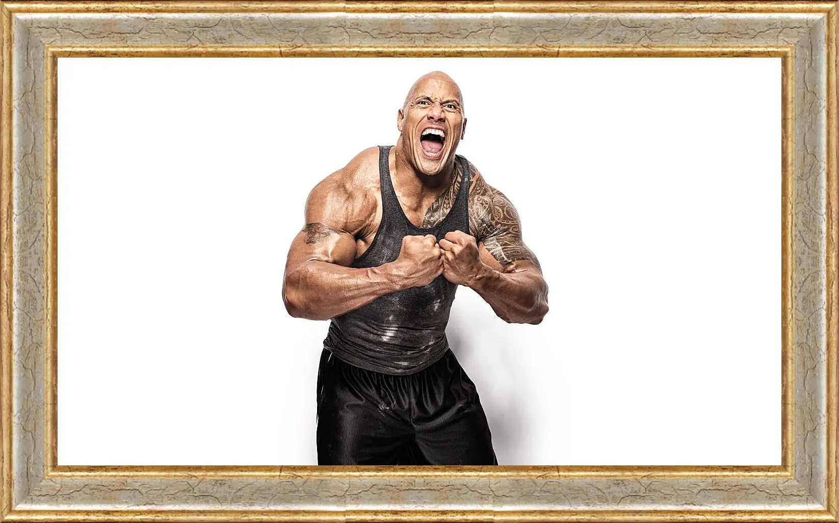 Картина в раме - Dwayne Douglas Johnson. Дуэйн Джонсон (Скала)