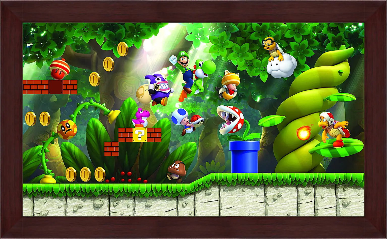 Картина в раме - New Super Luigi U
