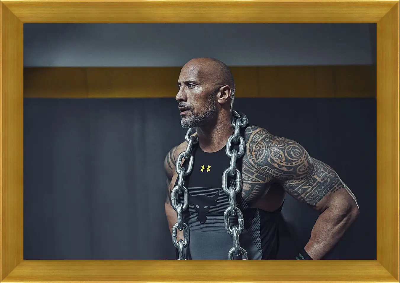 Картина в раме - Dwayne Douglas Johnson. Дуэйн Джонсон (Скала)