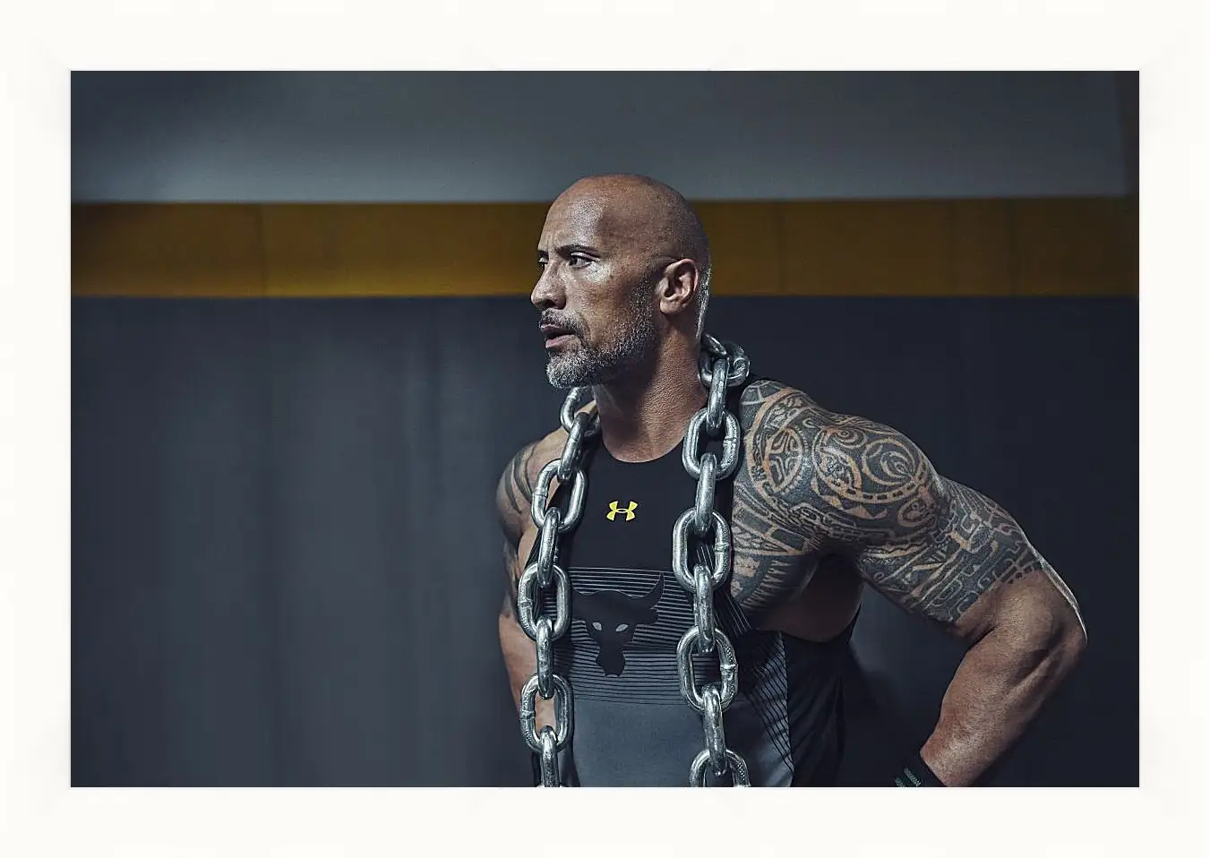 Картина в раме - Dwayne Douglas Johnson. Дуэйн Джонсон (Скала)