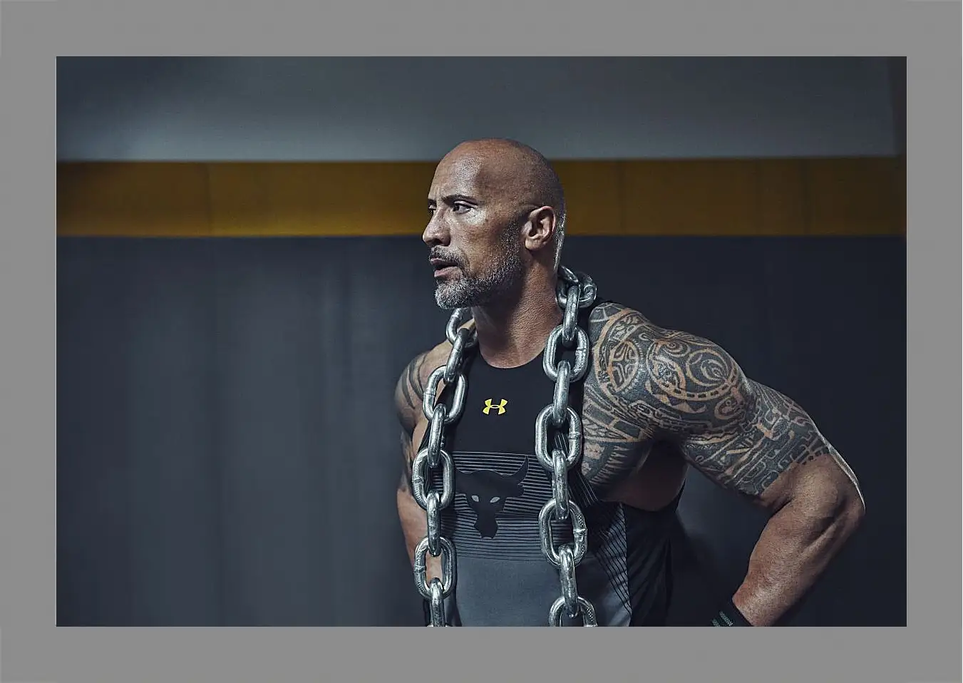 Картина в раме - Dwayne Douglas Johnson. Дуэйн Джонсон (Скала)