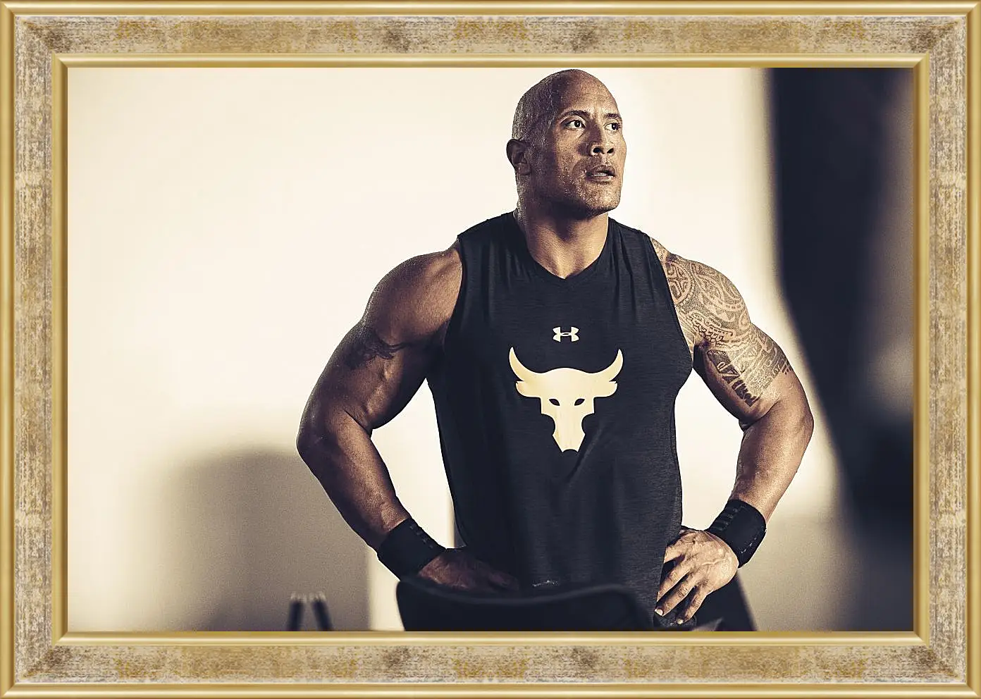 Картина в раме - Dwayne Douglas Johnson. Дуэйн Джонсон (Скала)