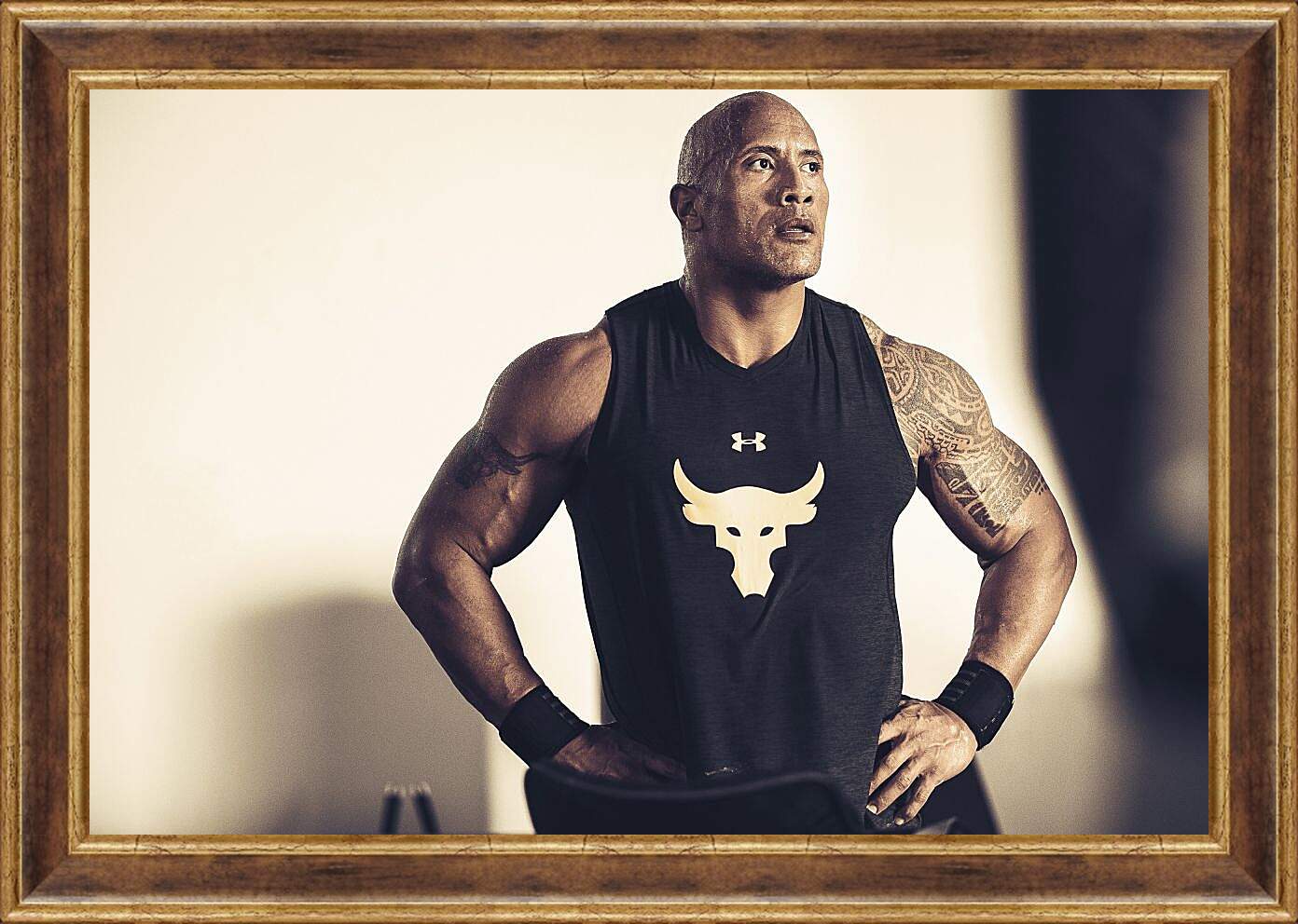 Картина в раме - Dwayne Douglas Johnson. Дуэйн Джонсон (Скала)