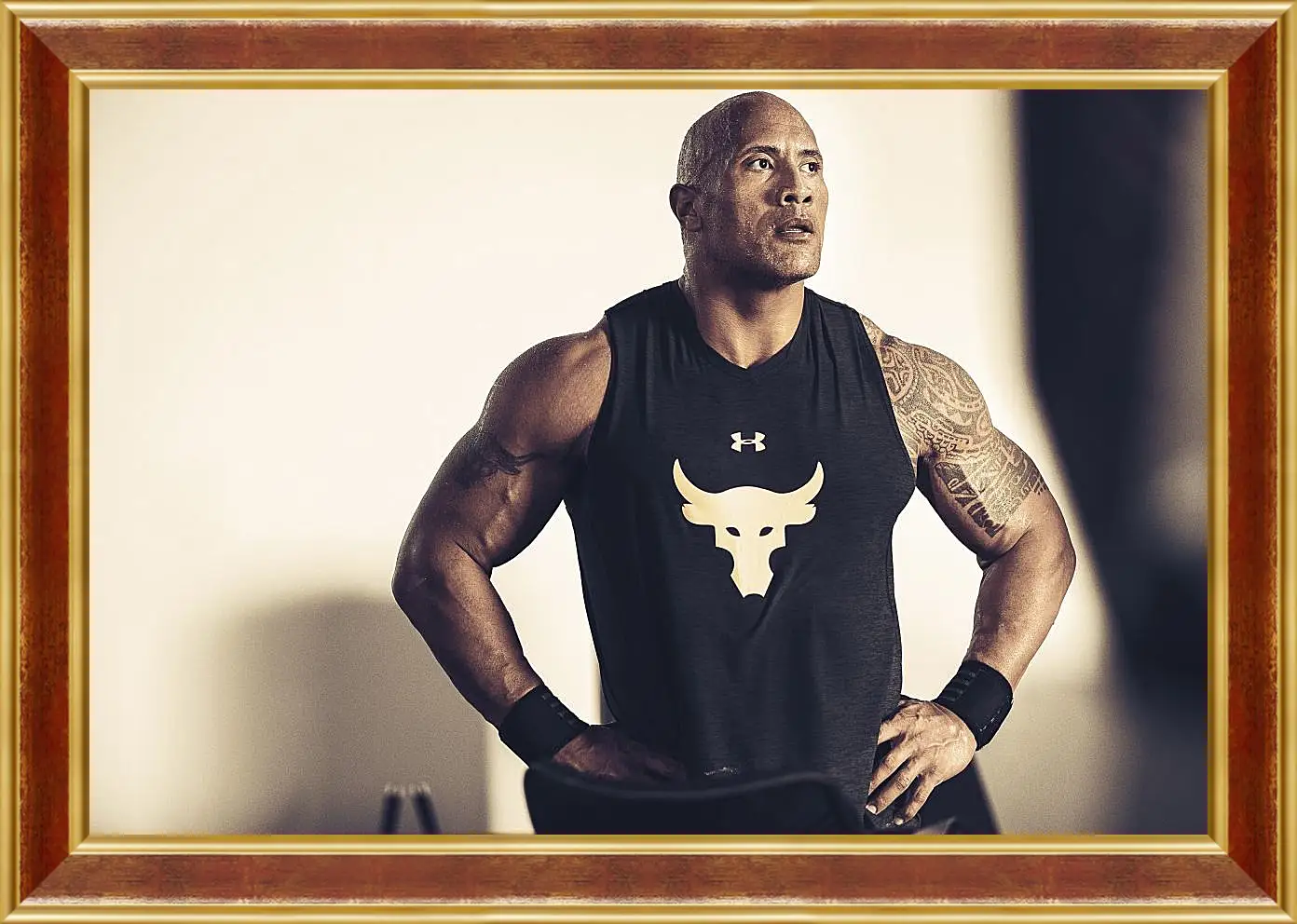 Картина в раме - Dwayne Douglas Johnson. Дуэйн Джонсон (Скала)