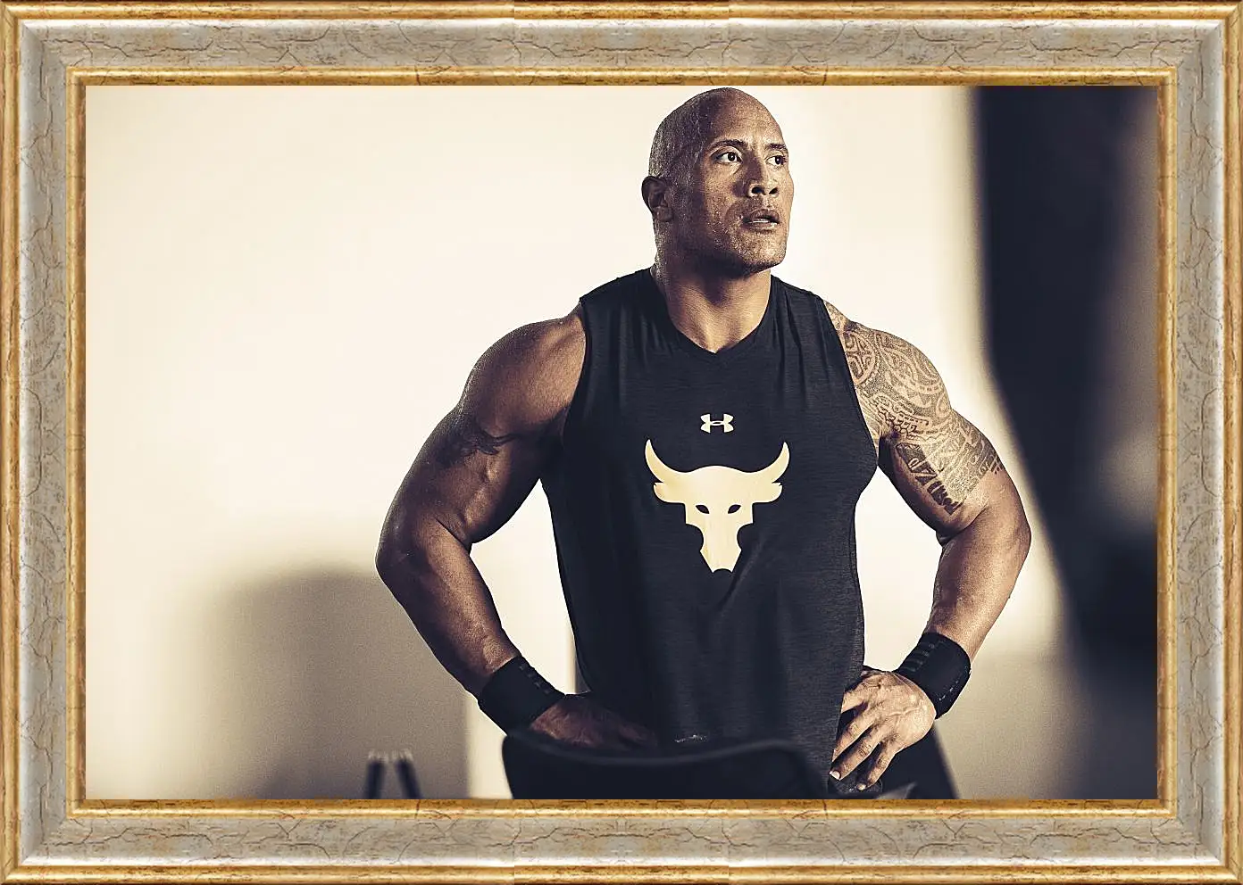 Картина в раме - Dwayne Douglas Johnson. Дуэйн Джонсон (Скала)