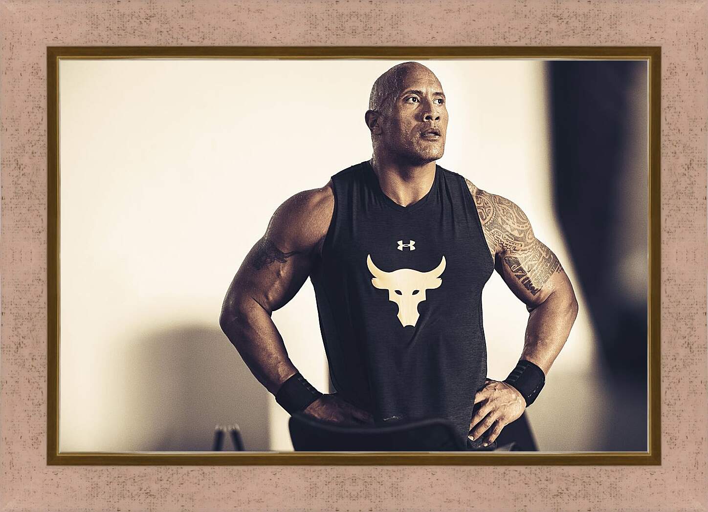 Картина в раме - Dwayne Douglas Johnson. Дуэйн Джонсон (Скала)