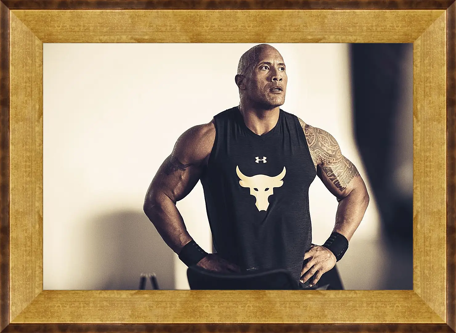 Картина в раме - Dwayne Douglas Johnson. Дуэйн Джонсон (Скала)