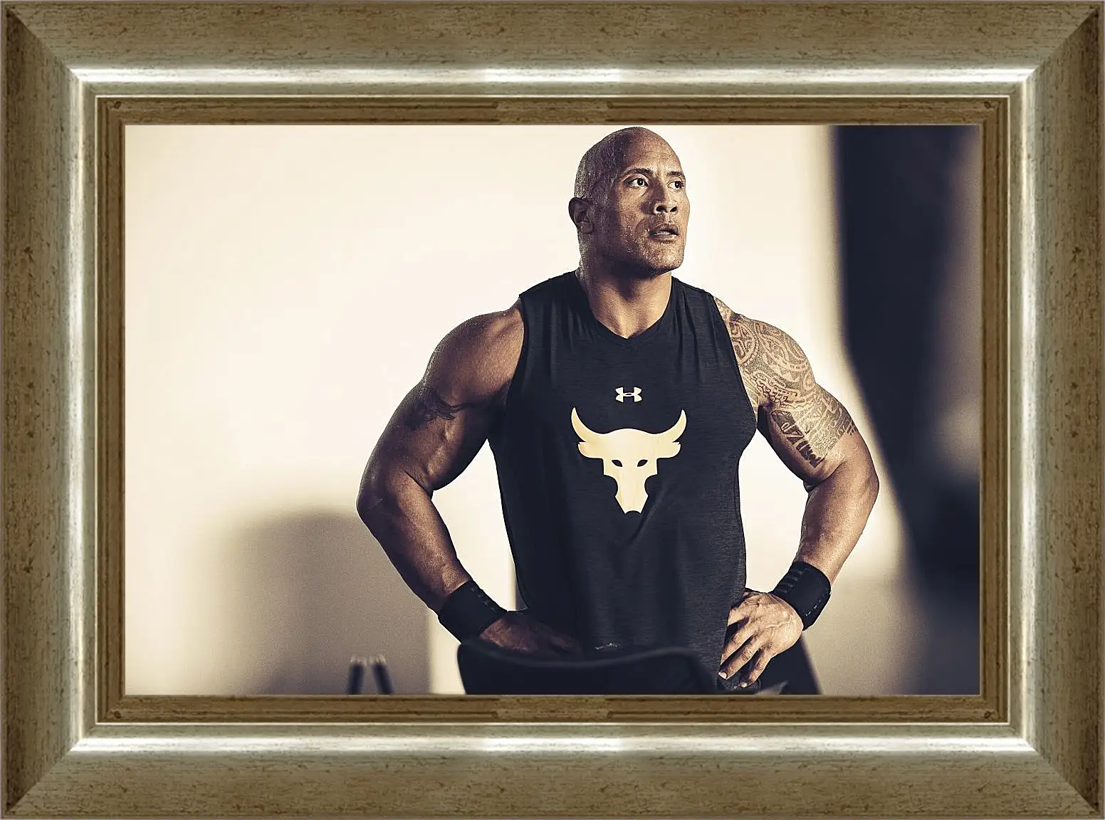 Картина в раме - Dwayne Douglas Johnson. Дуэйн Джонсон (Скала)