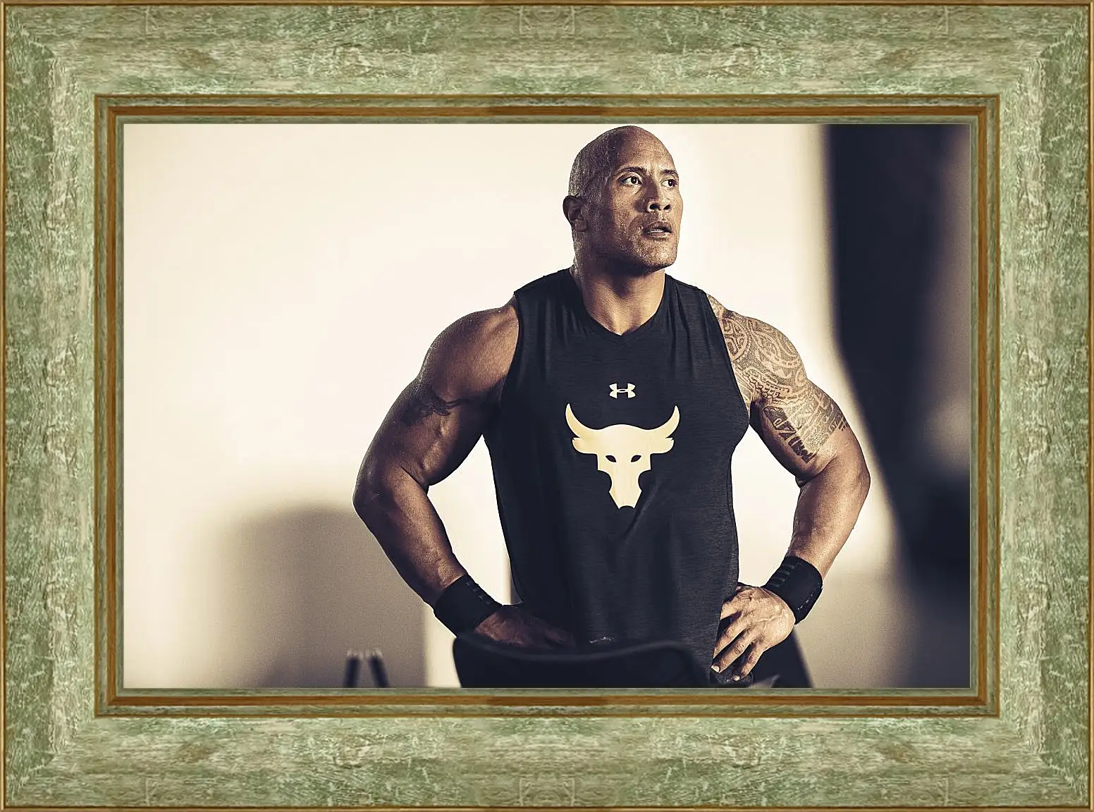 Картина в раме - Dwayne Douglas Johnson. Дуэйн Джонсон (Скала)