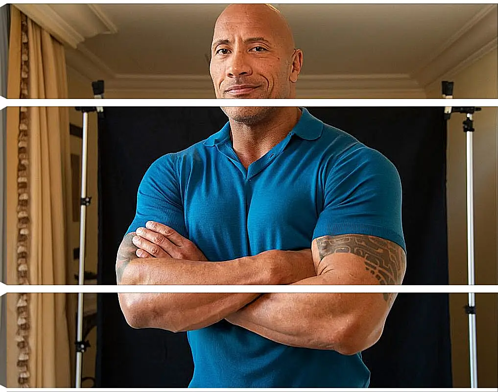 Модульная картина - Dwayne Douglas Johnson. Дуэйн Джонсон (Скала)