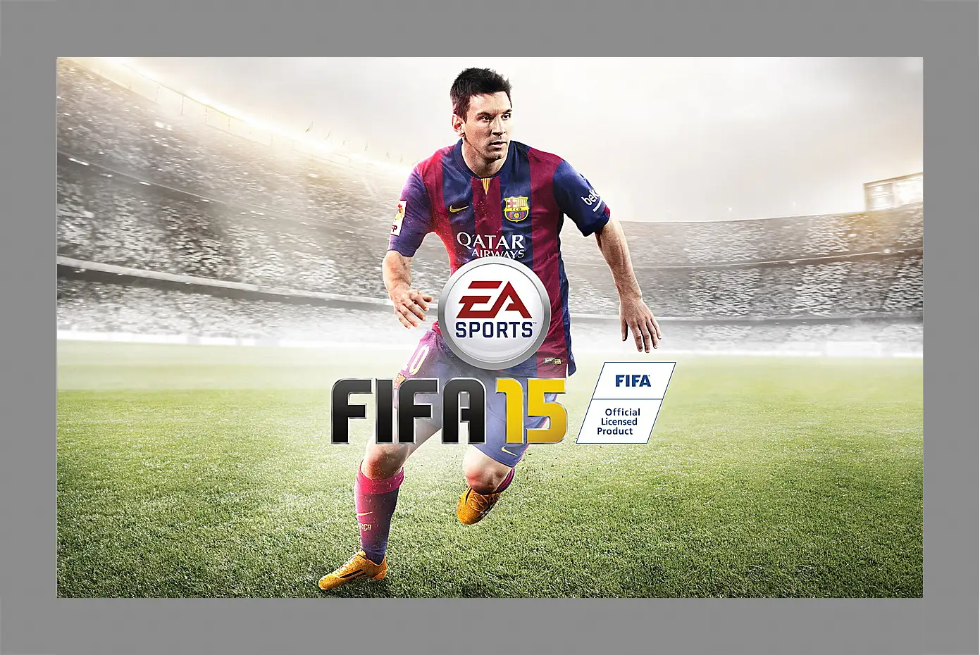 Картина в раме - FIFA 15
